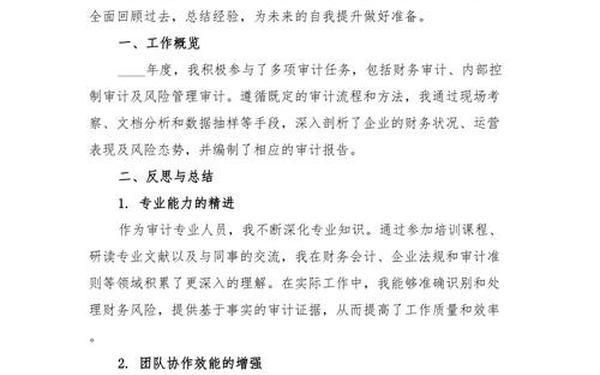 审计人员工作总结 审计人员2024年工作总结