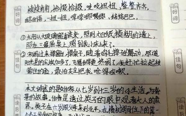 城南旧事读书笔记摘抄,《城南旧事》精彩句段