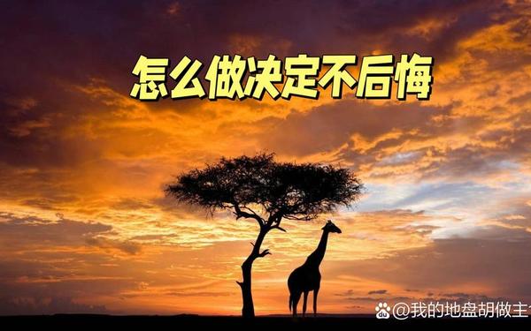 我做了一个艰难的决定_不后悔做的每一个决定