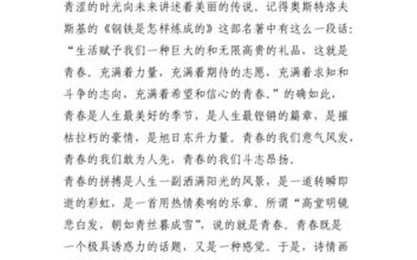 演讲稿作文-演讲稿范文青春励志600字