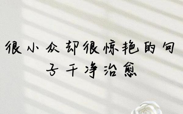 很小众却很惊艳的句子_小众又文艺的句子