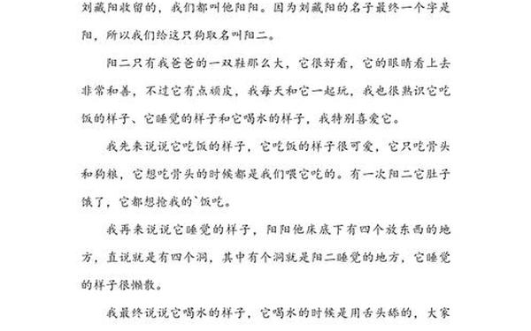 三年级作文小狗300字_小狗作文1000000字以上