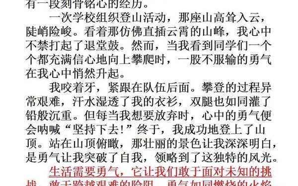 小升初满分作文精选10篇-小升初十大必考的作文