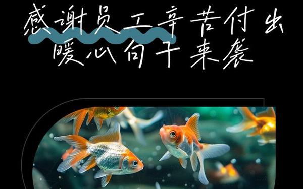 感谢员工的付出和激励的短句-感谢员工付出的句子
