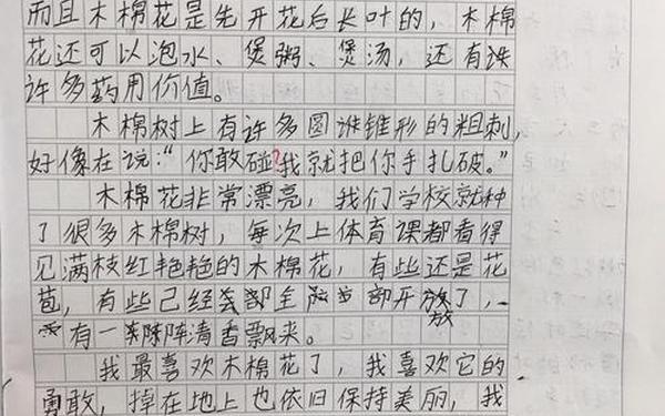 我的植物朋友作文三年级300字、我的植物朋友作文200字