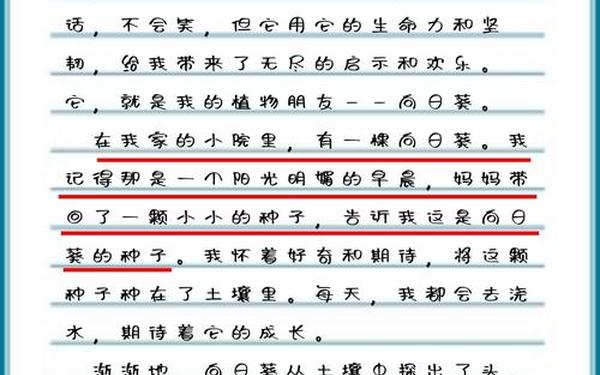 我的植物朋友作文三年级300字、我的植物朋友作文200字