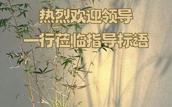 热烈欢迎莅临指导,领导指导下属的方法