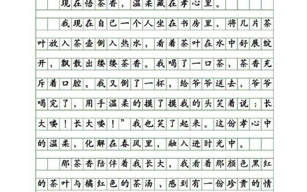惊艳到极致的神仙作文,高级作文