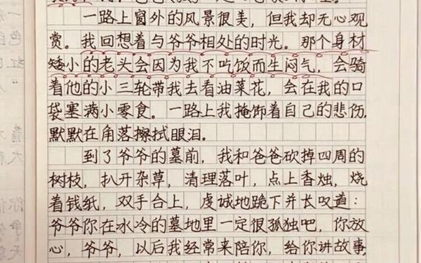 清明节日记100字,清明小练笔100字