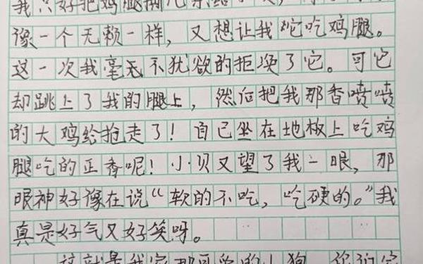 可爱的小狗300字 三年级下册小猫300字