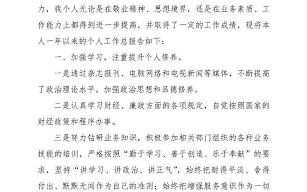 年度总结报告个人-2024个人工作总结