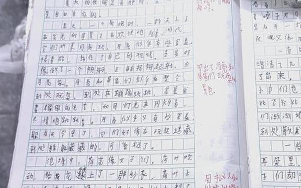 小荷作文网初中,小河作文网