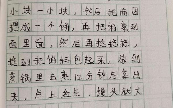 二年级日记100字—二年级日记一百字怎么写