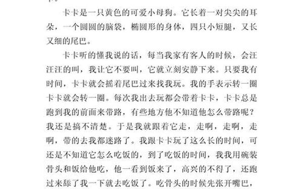 三年级优秀作文300字左右,小学生优秀作文