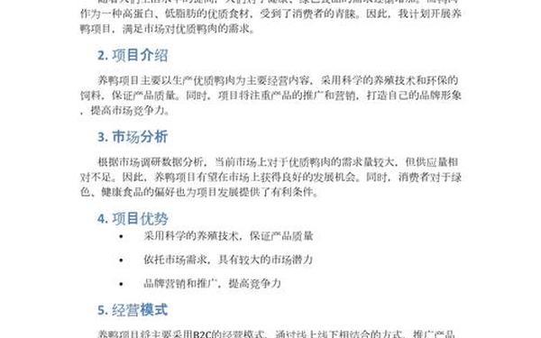 代写一份商业计划书多少钱_商业计划书模板免费