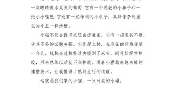 可爱的小猫作文300字、三年级《小动物》小猫