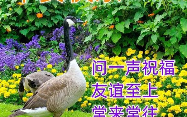 每日祝福短信-每天的祝福语在哪里找