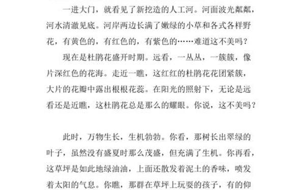 我发现了生活的美 我发现生活中的美500