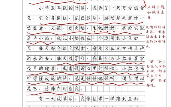 我懂得了什么作文400字 《老师死了》作文