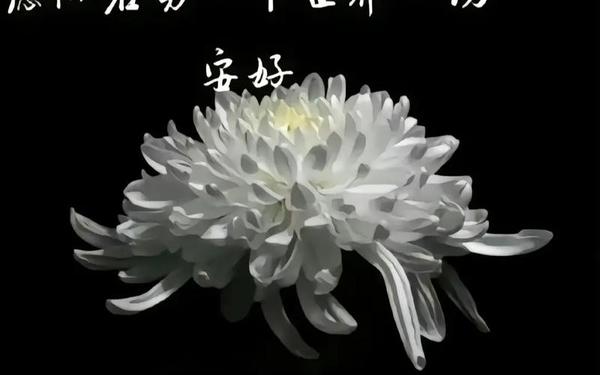 悼念刚离去的亲人句子_怀念逝去的亲人