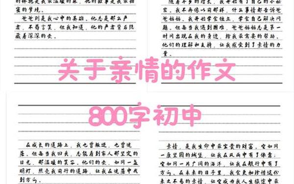关于亲情的作文800字初中,关于亲情类的作文