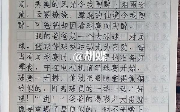 他___了作文-作文《他陶醉了》
