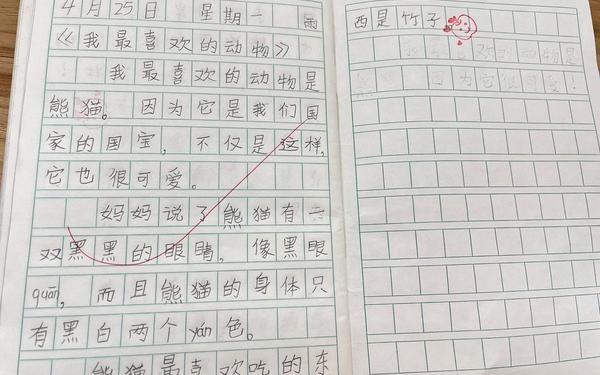 二年级日记_日记格式怎么写二年级上册