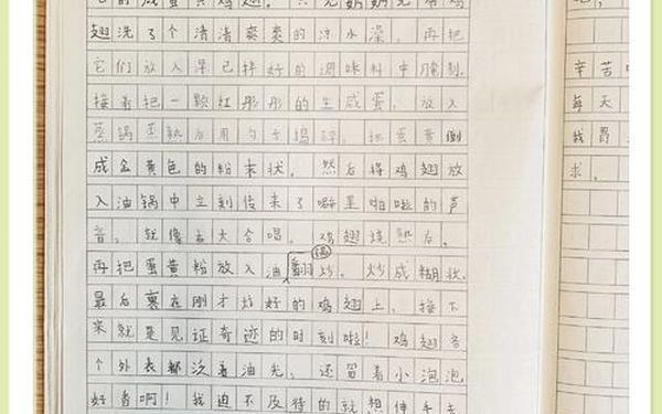 三年级小学生优秀作文、作文50字三年级