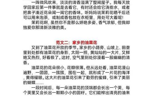 三年级下册全部作文(三年级下册电子版)