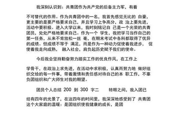 团员小结200字—团员自我小结