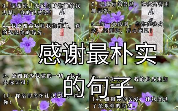 感谢最朴实的句子(感谢的句子)