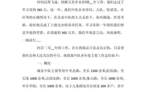 城管个人工作总结—城管个人总结简短