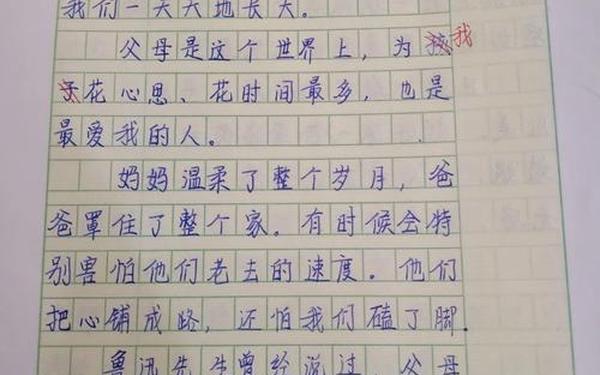 关于父母爱的作文、以父母之爱为主题的作文