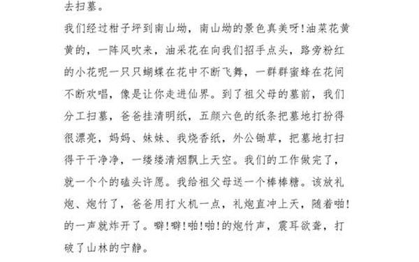 清明节日记100字,清明小练笔100字