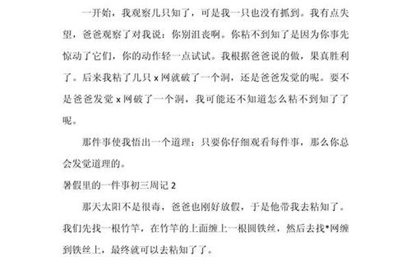 假期里的一件事,假期1件事简短