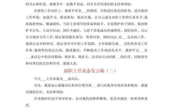 副职任职表态发言;副职上任三句话表态