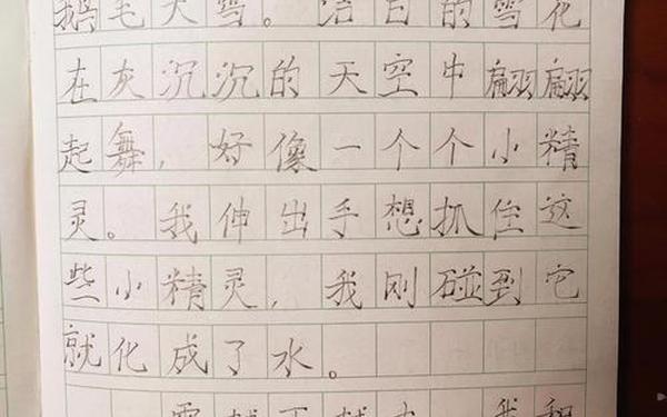 关于下雪的日记、三年级日记下雪天日记