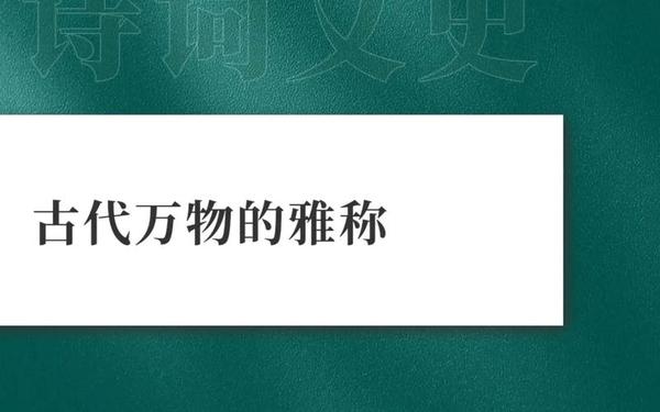 到底的近义词—到底的雅称