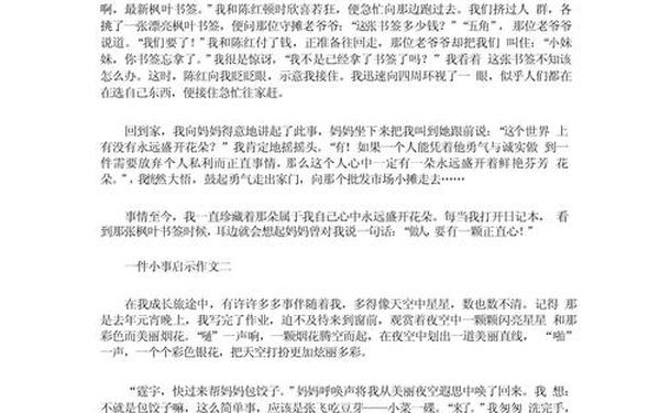 什么给我的启示作文500字(____给我的启示作文)