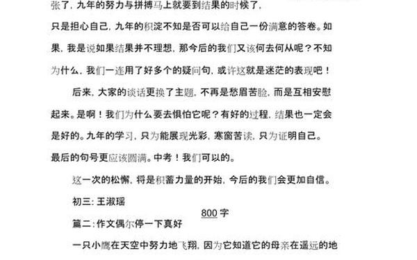 偶尔停一下真好_在什么中停一会儿作文600字