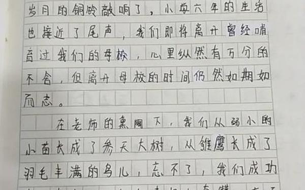 毕业季最催泪的作文 《毕业季的故事》作文