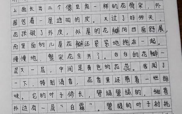200字日记免费(日记200字大全)
