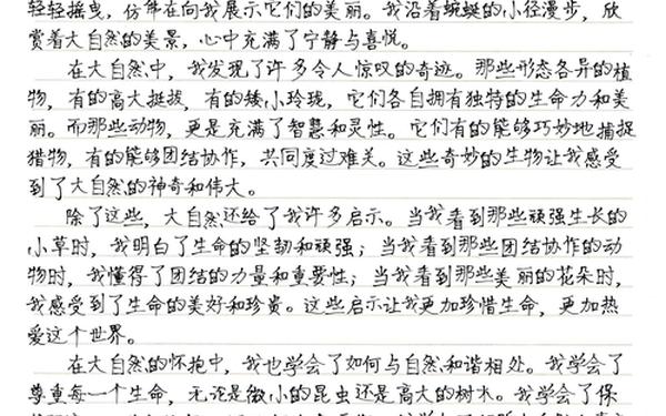 小学生二年级作文—小学2年级优秀作文