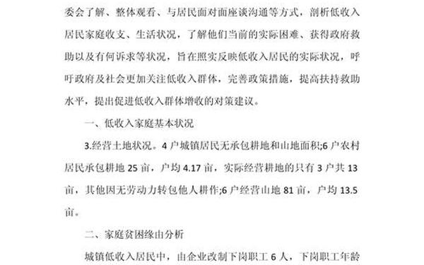 农民收入调查报告(农民收入相关政策)