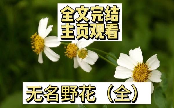 无名的野花、无名的野花补充完整