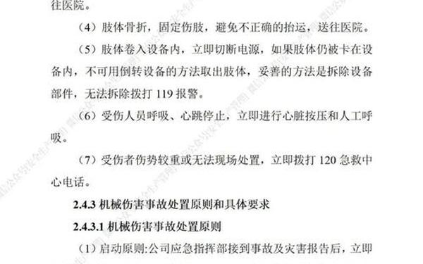 安全应急预案方案,安全生产应急预案2024最新版
