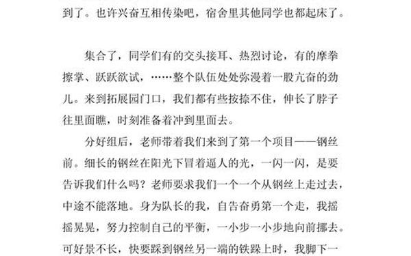 团结就是力量作文,团结作文600字