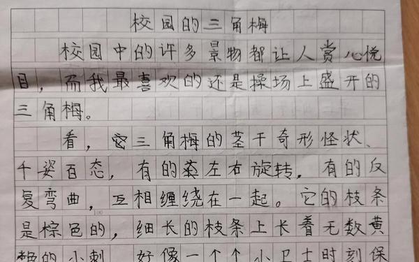 三年级下册的作文全部,三年级作文范文100篇