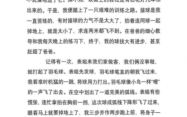 寒假作文600字初中 羽毛球作文600字