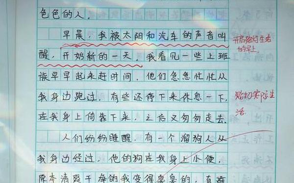 我是一盏路灯优秀作文450字(我人生路上的一盏灯作文500字)